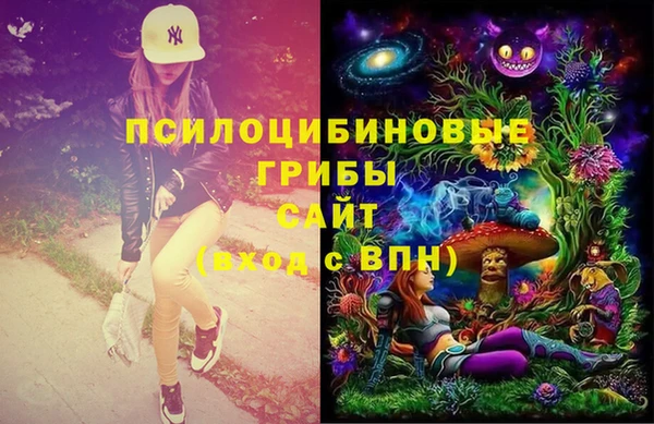 эйфоретик Бородино