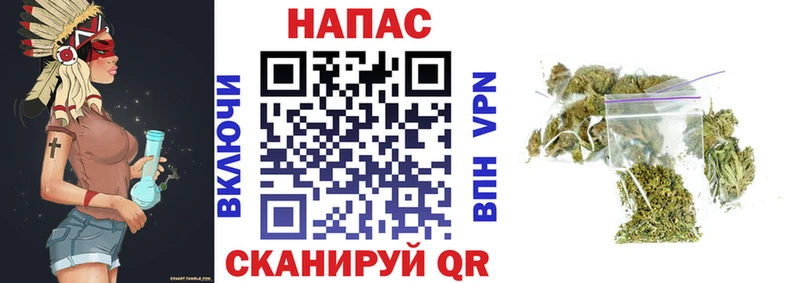 где купить   Кашин  Бошки марихуана тримм 